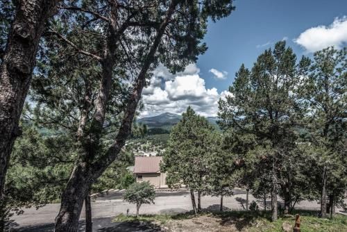 Outdoor Pictures 7