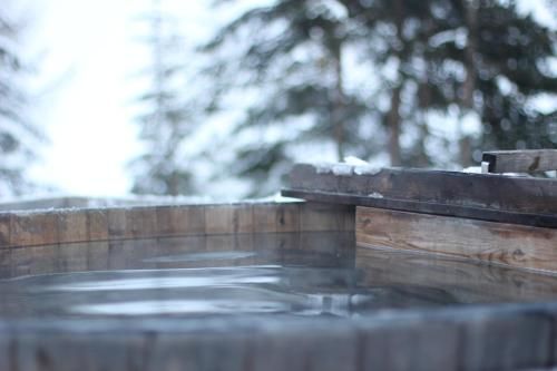 Outdoor Pictures 16