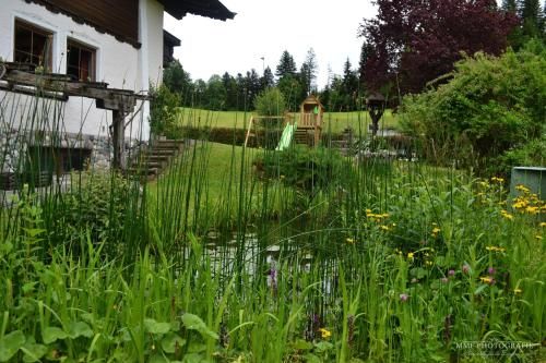 Outdoor Pictures 11