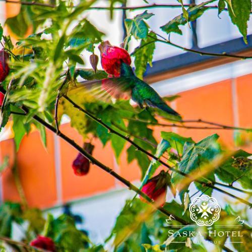Outdoor Pictures 5