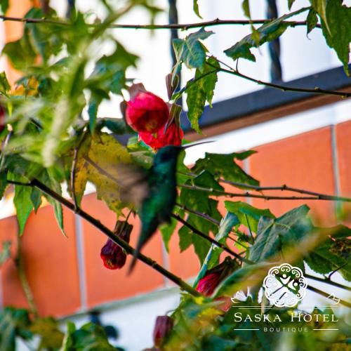 Outdoor Pictures 7