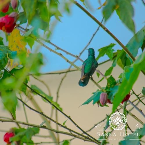 Outdoor Pictures 9
