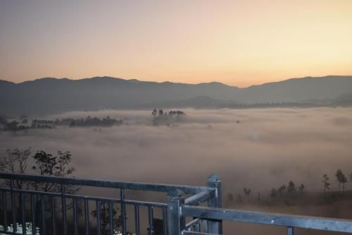 Outdoor Pictures 20