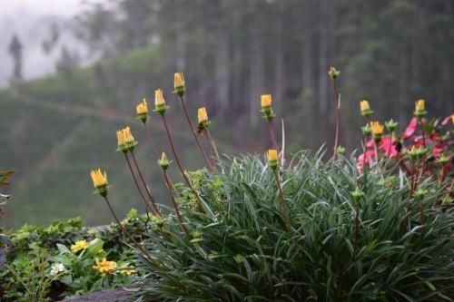 Outdoor Pictures 24