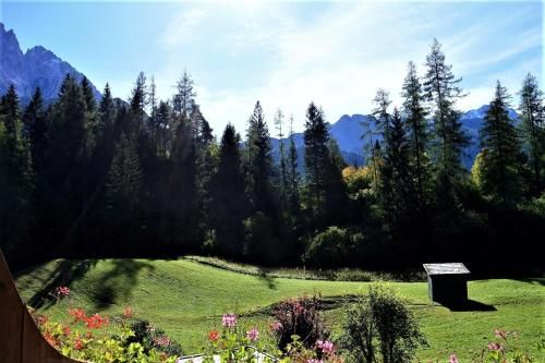 Outdoor Pictures 17