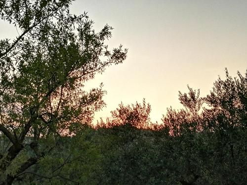 Outdoor Pictures 2
