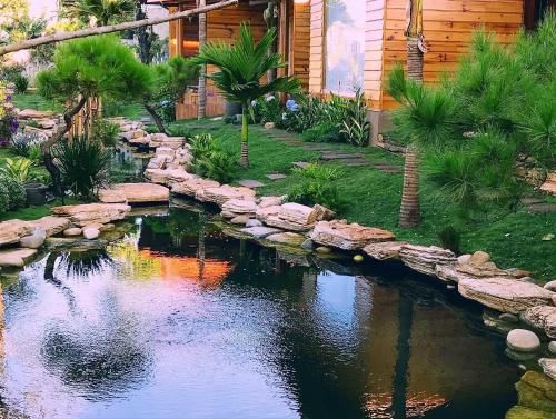 Outdoor Pictures 6