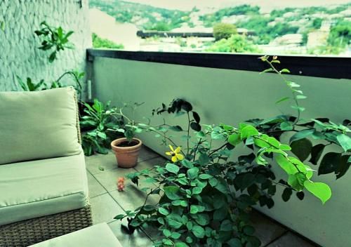 Outdoor Pictures 10