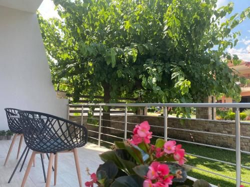 Outdoor Pictures 7