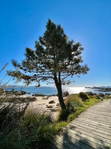 Outdoor Pictures 7