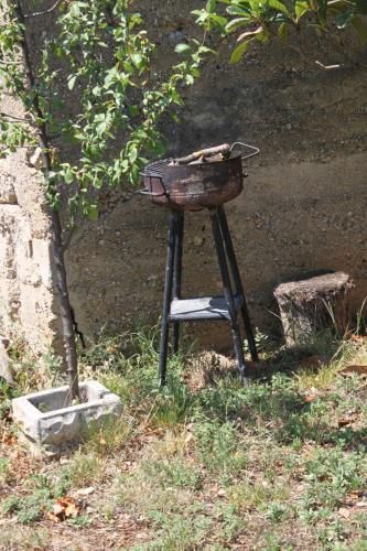 Outdoor Pictures 5