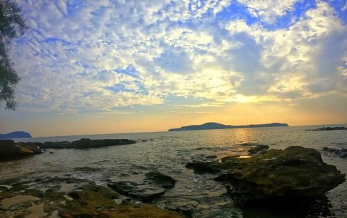 Outdoor Pictures 20