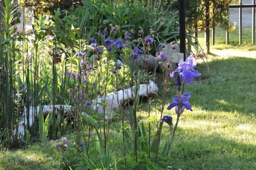 Outdoor Pictures 19