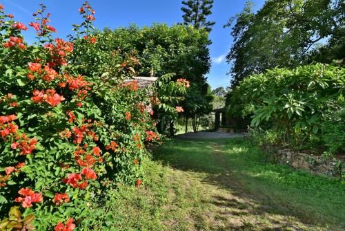 Outdoor Pictures 21
