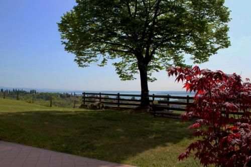Outdoor Pictures 13