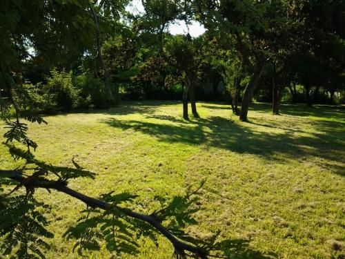 Outdoor Pictures 23