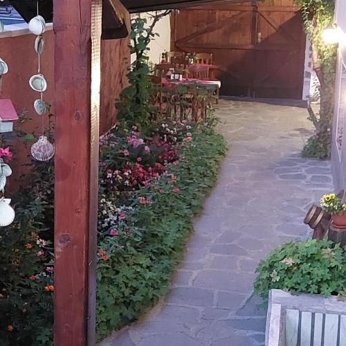 Outdoor Pictures 7