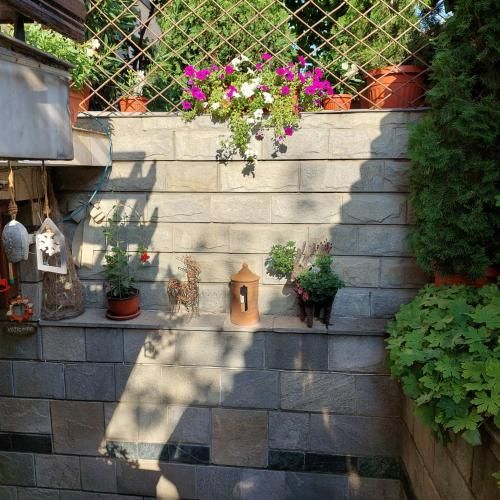 Outdoor Pictures 8