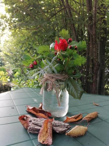 Outdoor Pictures 11