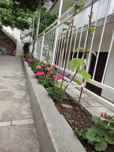 Outdoor Pictures 4