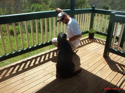 Outdoor Pictures 24