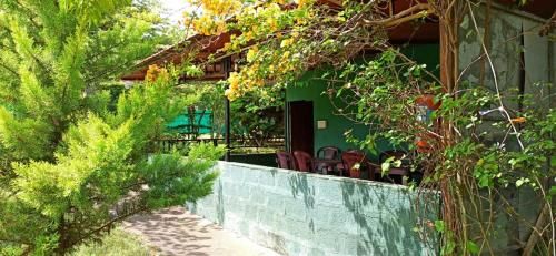 Outdoor Pictures 21