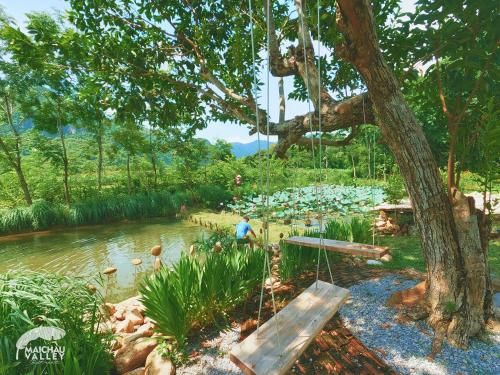 Outdoor Pictures 21