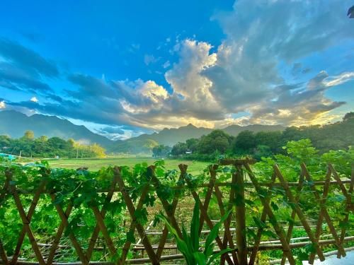Outdoor Pictures 10