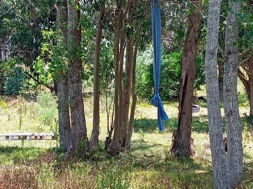 Outdoor Pictures 7