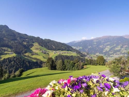 Outdoor Pictures 24
