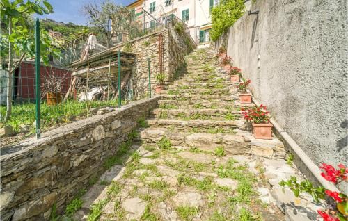 Outdoor Pictures 24