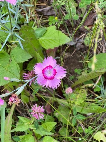 Outdoor Pictures 15