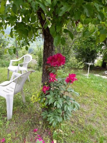 Outdoor Pictures 20