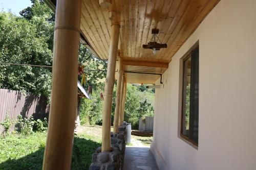 Outdoor Pictures 13