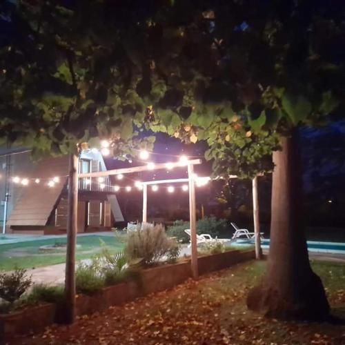 Outdoor Pictures 3