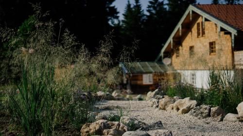 Outdoor Pictures 1