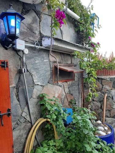 Outdoor Pictures 24