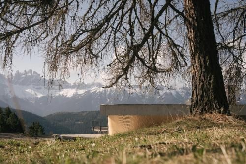 Outdoor Pictures 9