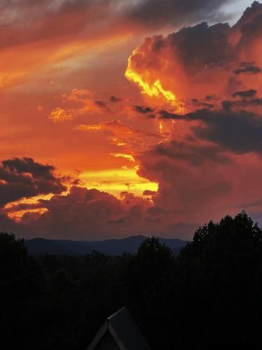 Outdoor Pictures 10