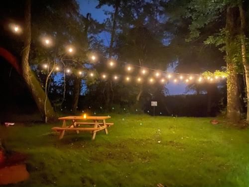 Outdoor Pictures 17