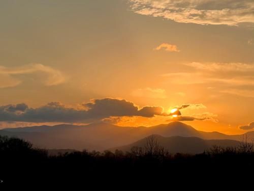Outdoor Pictures 23