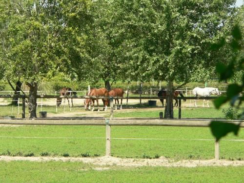 Outdoor Pictures 12