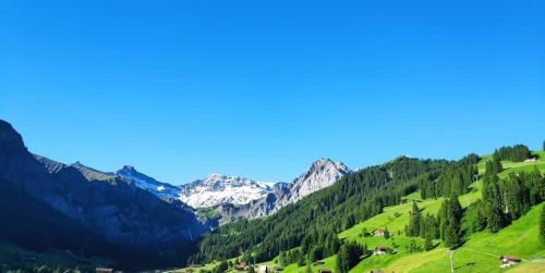 Outdoor Pictures 24