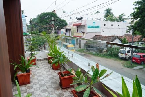 Outdoor Pictures 1