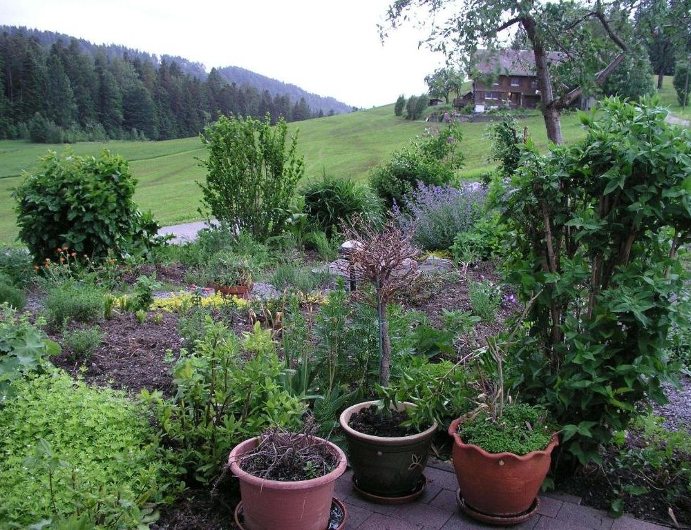 Outdoor Pictures 11