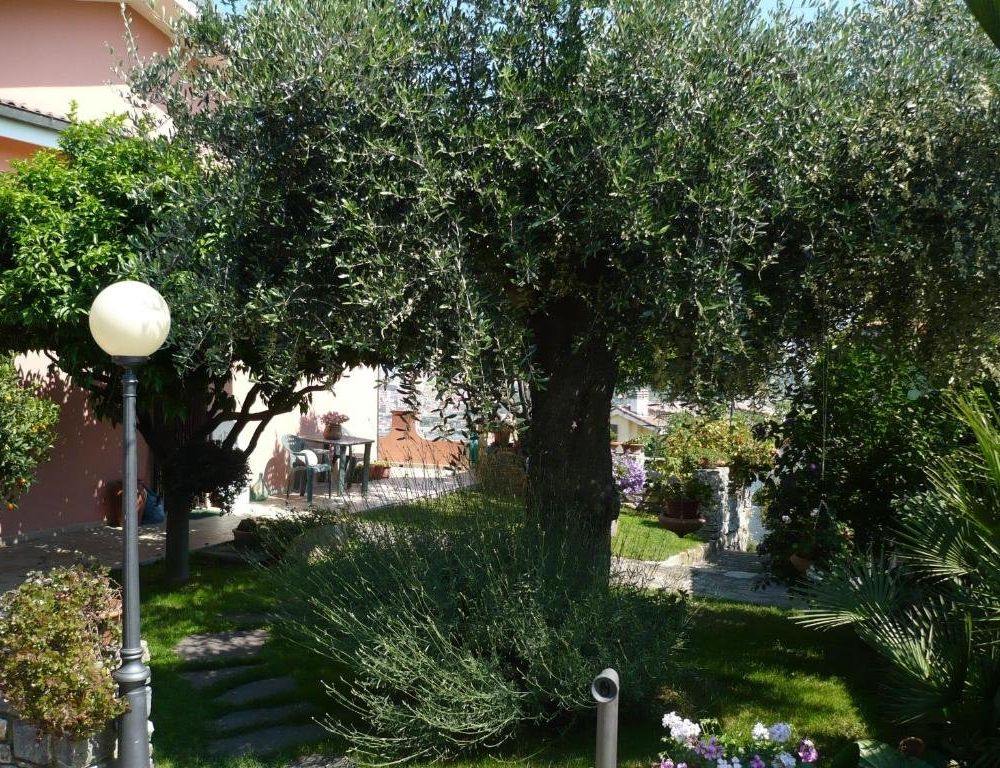 Outdoor Pictures 10