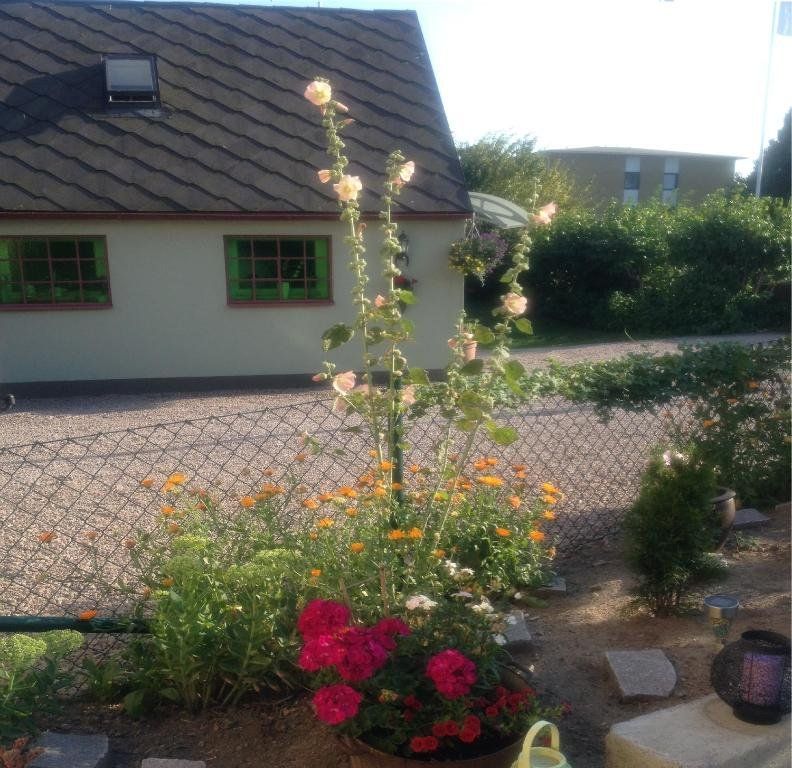Outdoor Pictures 9
