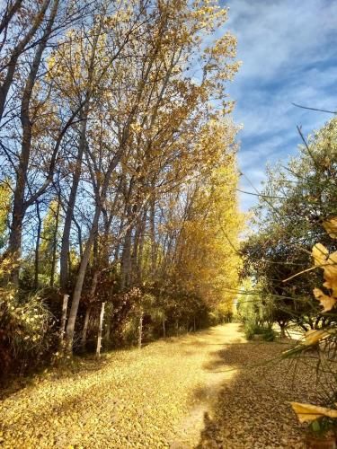 Outdoor Pictures 24