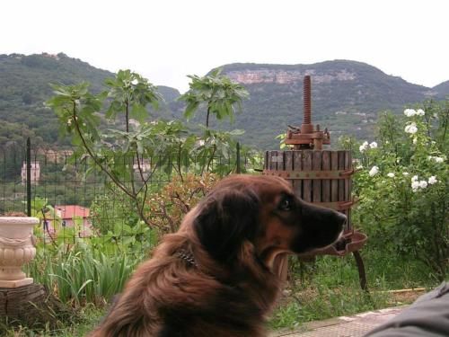 Outdoor Pictures 8