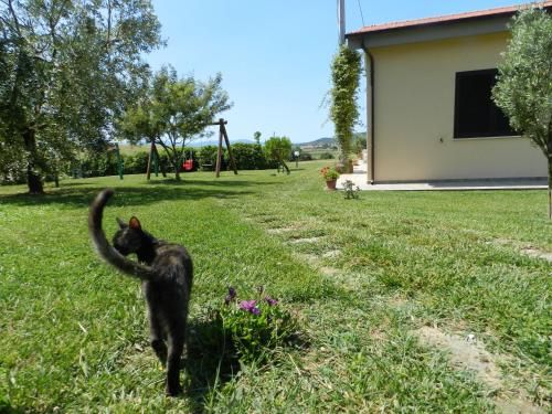Outdoor Pictures 20